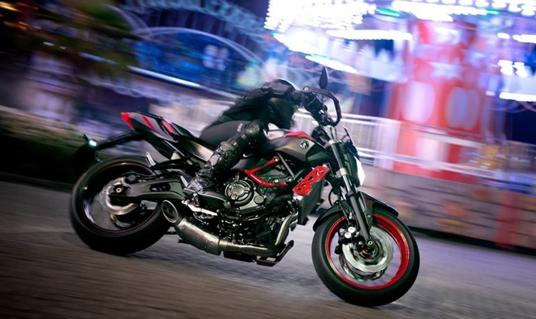 Yamaha MT-07 Cage