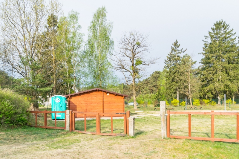 Opis zdjęcia 1