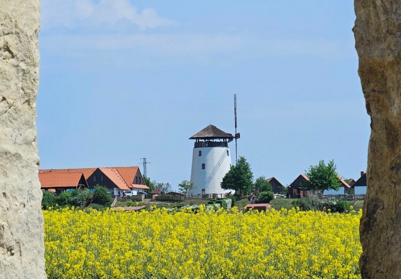 Opis zdjęcia 1