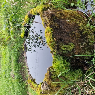 Opis zdjęcia 1