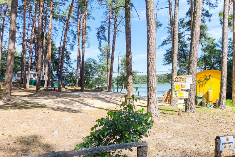 Opis zdjęcia 1