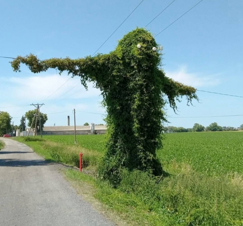 Opis zdjęcia 1