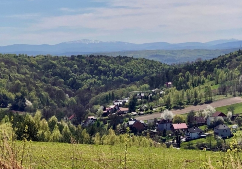 Opis zdjęcia 1