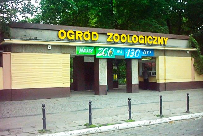 Opis zdjęcia 1