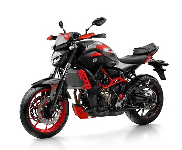 Yamaha MT-07 Cage