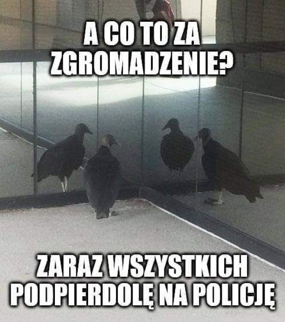 Załączone zdjęcie