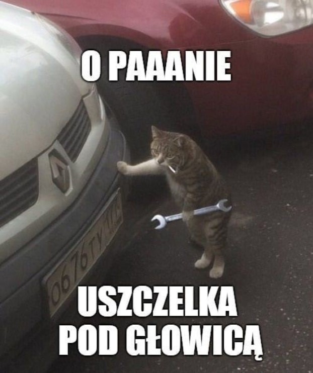 Załączone zdjęcie