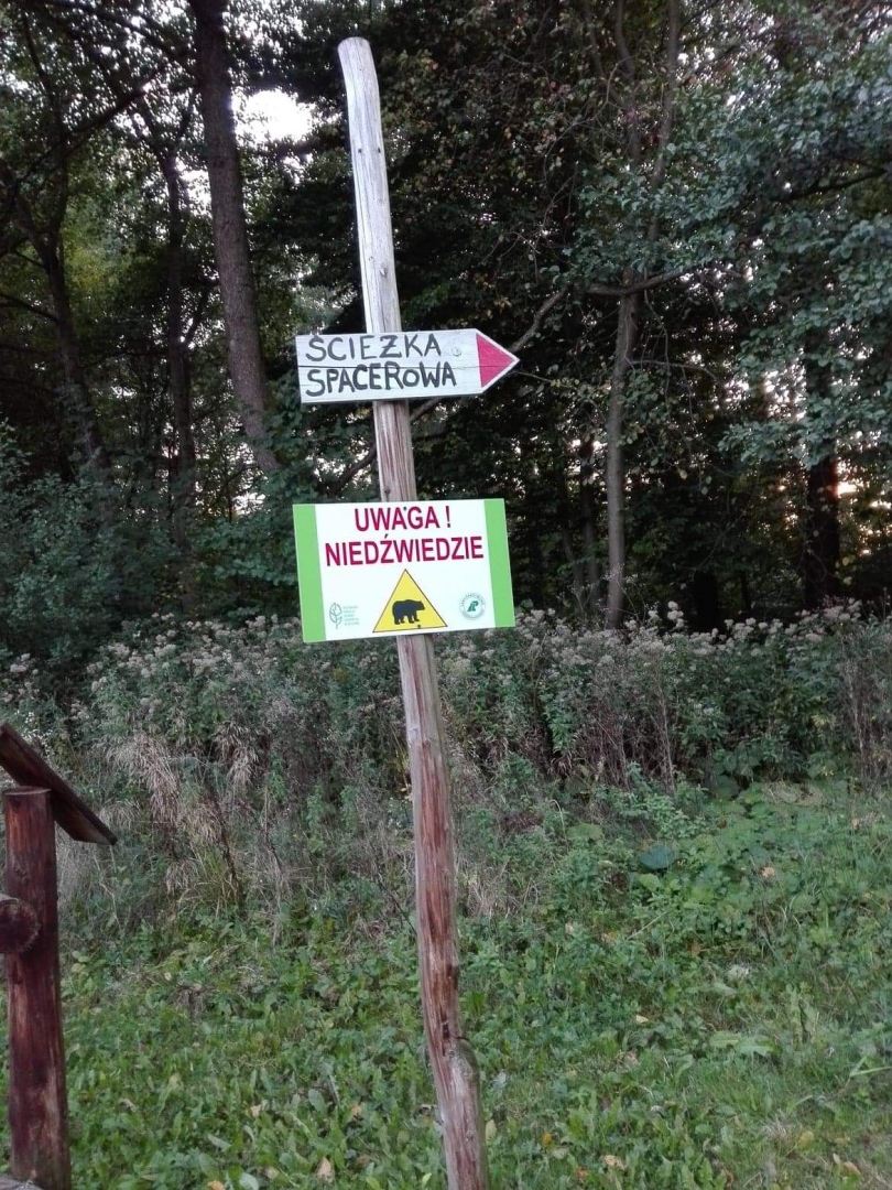 Załączone zdjęcie
