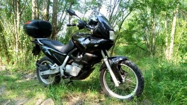 BMW F650 (1993-2001)