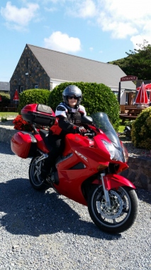 Honda VFR 800 V-Tec (2002-2009)