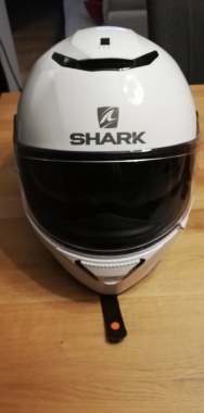 Shark Spartan