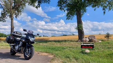 Suzuki GSF 1250S Bandit (2007-)